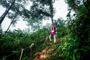 BIB: 
                            <button type="button" onclick="openModal(26202290)" class="btn btn-primary btn-sm float-right btn-popup" data-toggle="modal" data-target=".modal-high-quality">
                        <i class="fas fa-shopping-cart"></i> Add to Cart
                    </button>
                                            <button type="button" onclick="isThisMe(26202290, true)" class="btn btn-success btn-sm float-right btn-popup btn-isme hidden" data-toggle="tooltip" data-placement="bottom" title="นี่คือรูปของคุณใช่ไหม คลิกที่นี่เพื่อเอาเข้าอัลบั้ม">
                        <i class="fas fa-plus"></i> Add to album
                    </button>
                    <button type="button" onclick="isThisMe(26202290, false)" class="btn btn-warning btn-sm float-right btn-popup btn-isnotme hidden">
                        <i class="fas fa-ban"></i> Remove from album
                    </button>